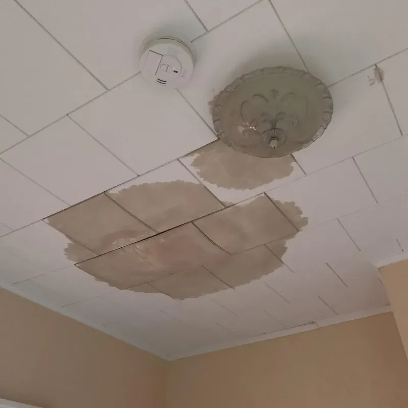Ceiling Water Damage Repair in Rural Hill, TN