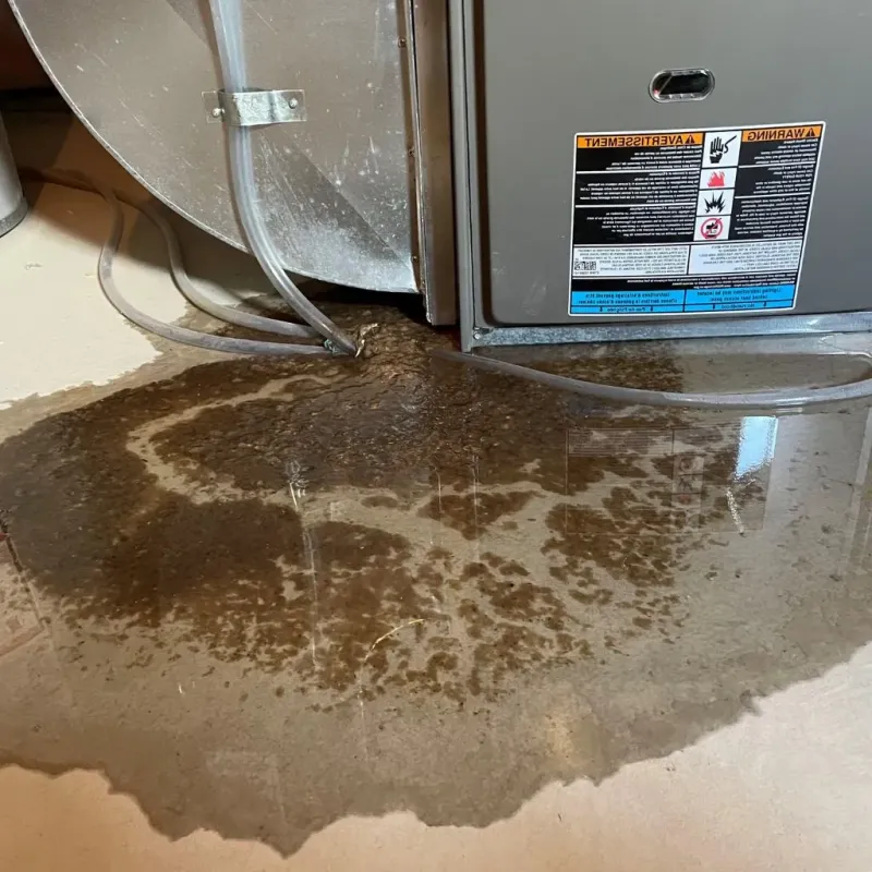 Pipe Burst and Leak Restoration in Rural Hill, TN