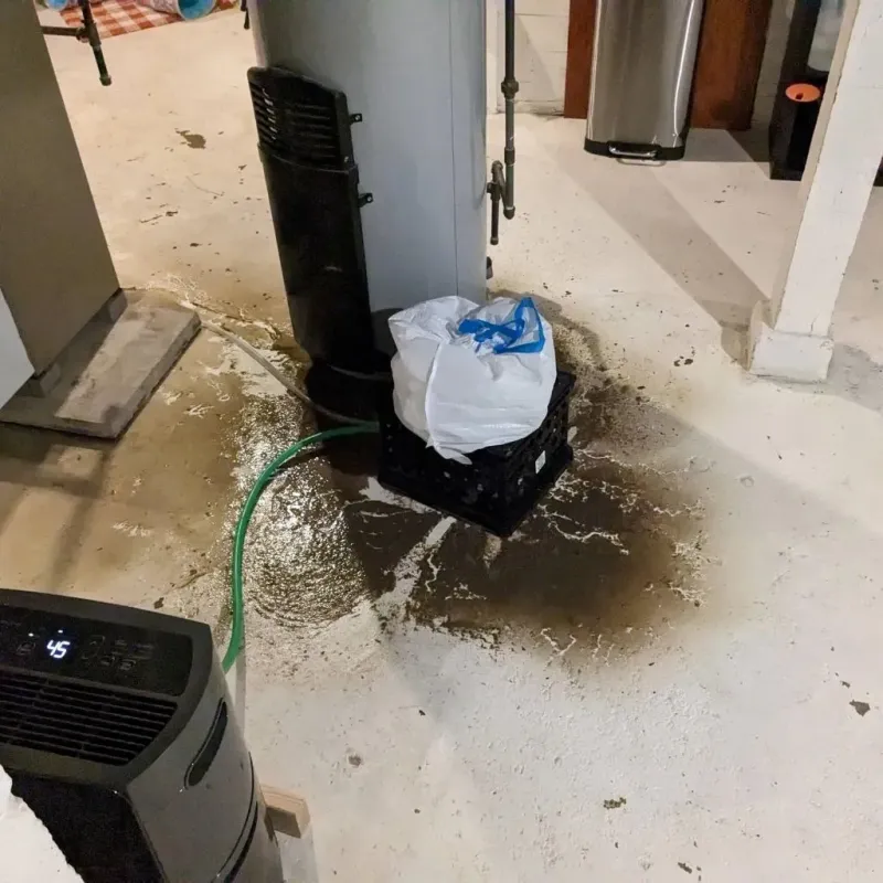 Sewage Backup Cleanup Service in Rural Hill, TN